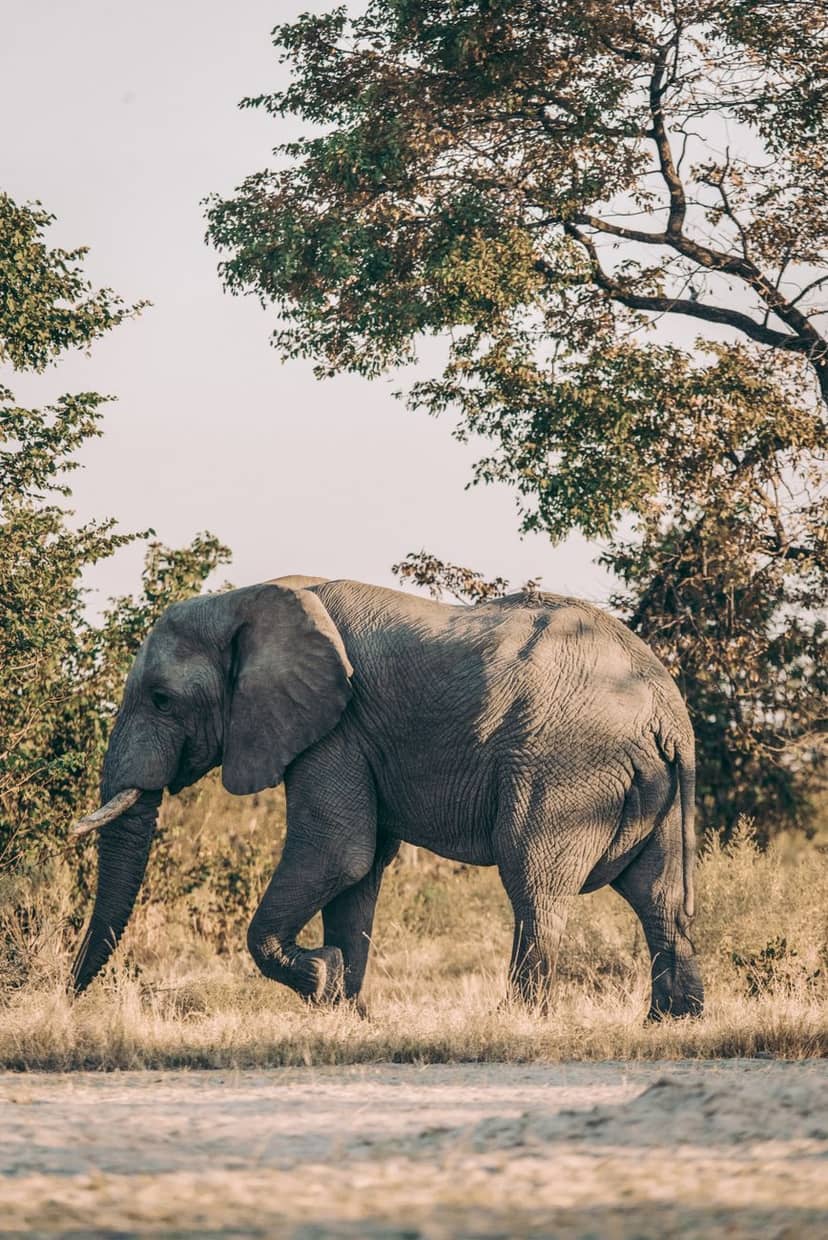 Botswana