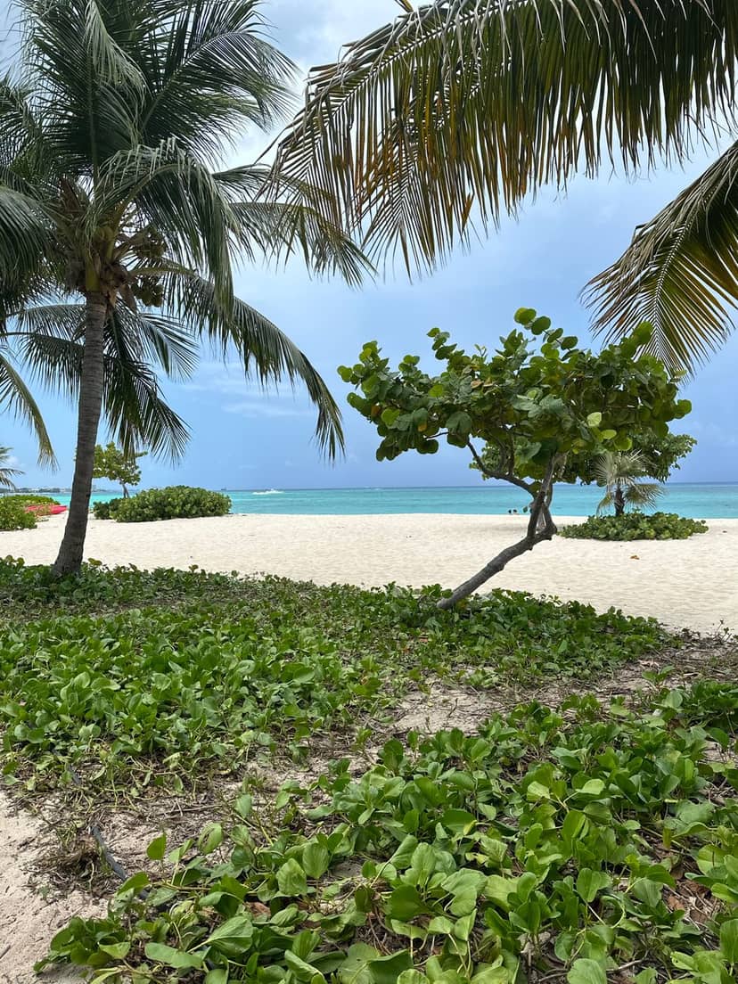 Cayman Islands