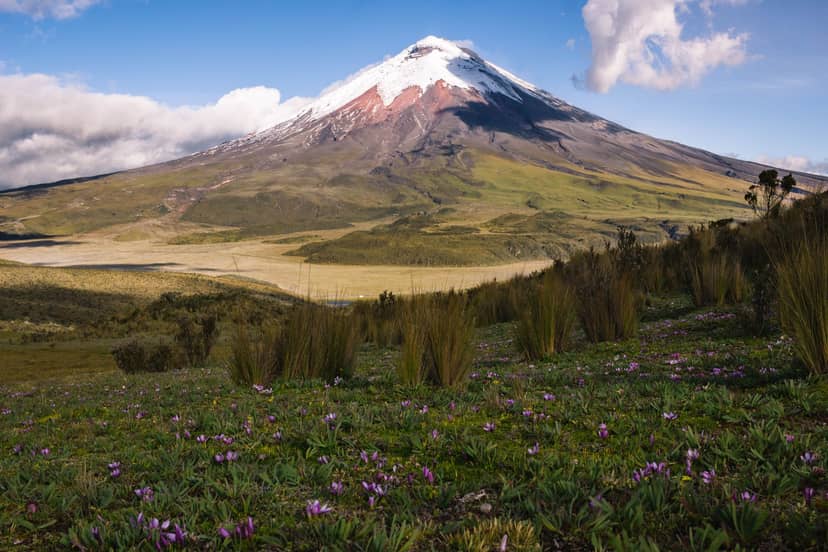 Ecuador